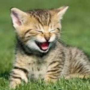 Meet your Posher, Gracelyn